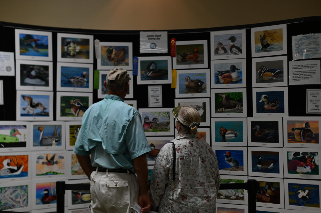 Art in the Wild to celebrate Jay N. ‘Ding’ Darling’s 150th birthday
